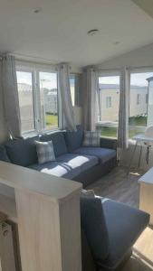 14 Atlas Ruby Cherry tree