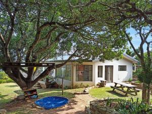 Beehaven Sunset Paradise