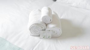 5 minutes du Zénith - Studio Chic