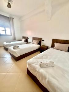 SurfsHub Hostel Tghazout Bay Tamraght