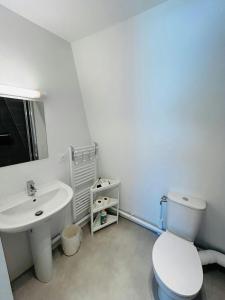 We Live In R - Duplex 504