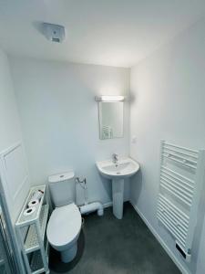 We Live In R - Suite 401