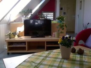 Apartment at the Knappensee in Groß Särchen