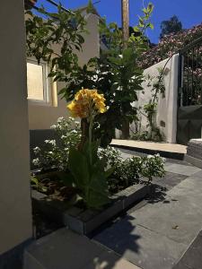 Bazakos Luxury Kampi Beach Studio 1