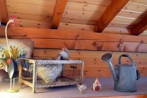 Chalets Casa-Chalet du Merle N° 2 : photos des chambres