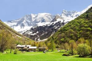 Chalets Casa-Chalet du Merle N° 2 : photos des chambres
