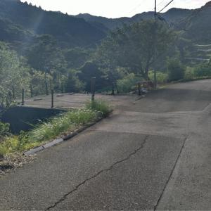 Oyado Susuki - Vacation STAY 25702v