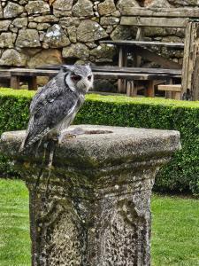 Appartements LA MAISON VALENTIN AU COEUR DE LA CITE MEDIEVALE : photos des chambres