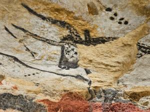 Appartements LA MAISON VALENTIN AU COEUR DE LA CITE MEDIEVALE : photos des chambres