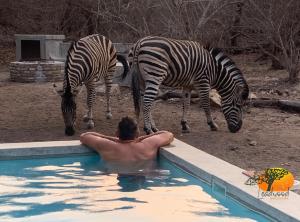 Leadwood Marloth Lodge