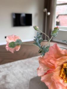 Shortstay Sneeker Munt