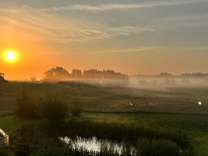 Kukułka Mazury