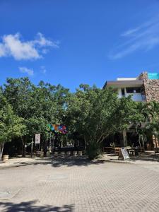 New Bamboo Zamare Pool & Gym