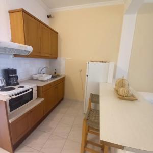 Studio Apartment with Sea View room in Lidovois House