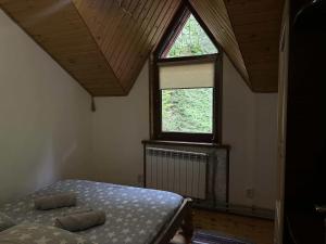 Лісова Хатина-ЧАН