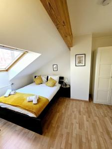 Cozy studio in Limpertsberg