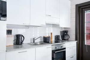 Auroralevi Sointuilevi B63, Central, Sauna, Ski nearby