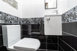 Apartment Kovářská, view of Klínovec