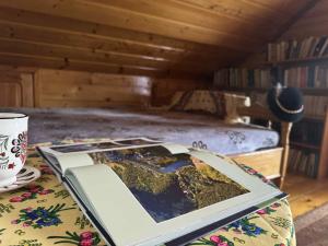 Agroturystyka u Anieli - Wśród Gór i Ziół