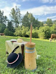 Agroturystyka u Anieli - Wśród Gór i Ziół