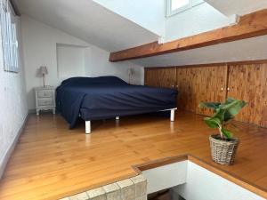 Appartement place aux aires en plein centre historique de Grasse