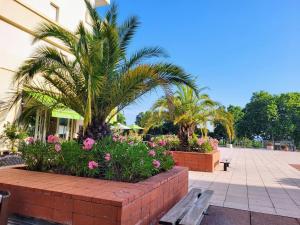 Appartements Charmant appartement vue piscine parc tropical Residence vacances Golfe-Juan : photos des chambres