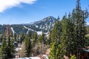 Mammoth Ski Racquet Club 32 - Newly Remodeled Pet Friendly