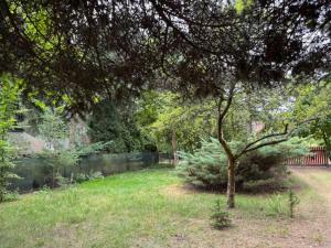 Charming Forest Home near Warsaw