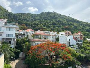 The Hill Villa Vung Tau