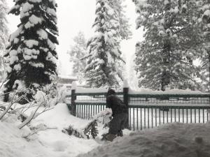 Mountainback 53 Loft