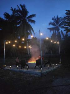 The CozyNest Camiguin Homestay