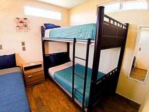 Rose Room literas , Paseo Durango