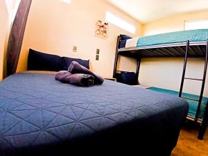 Rose Room literas , Paseo Durango