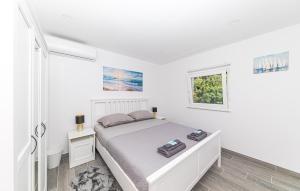 1 Bedroom Nice Apartment In Stanici 