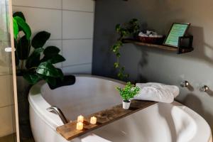 Loft no Morro da Borússia