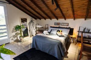 Loft no Morro da Borússia