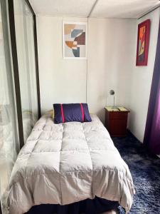 Cozy apartment in the center of Providencia, Acogedor departamento en el centro de Providencia