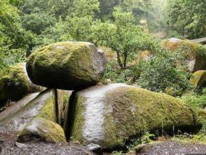 Maisons de vacances Stone House in Huelgoat, Brittany, cleaning included : photos des chambres