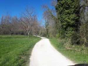 Maisons de vacances Hilltop Home with Valley View, cleaning included : photos des chambres