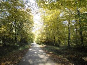 Maisons de vacances Holiday Home in Chilleurs near Chateau : photos des chambres