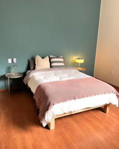 Beautiful Loft in the heart of colonia Americana