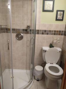 Cozy studio at the heart of Jackson Heights