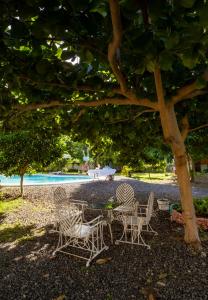 Ana-as Apartelle (GGL)