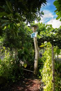 Ana-as Apartelle (GGL)