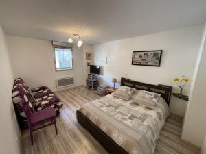 Appartements Bel appartement T3 avec balcon sud et wifi, proche pistes - FR-1-787-130 : photos des chambres