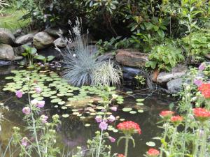 Апартамент Gartenwohnung Gretl mit Biotop in Seen&auml;he Зебоден Австрия