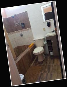 Bello Departamento CxD - 204 - rentaflex