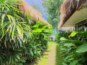 The bora bora - Bed and Dream เดอะ โบรา โบร่า - เบด แอนด์ ดรีม