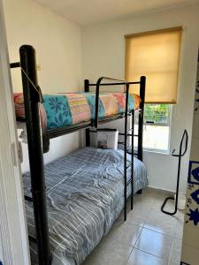 Room in modern apartment with garden