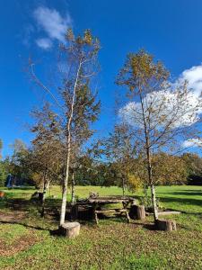 Casa Campo Km4 Panguipulli